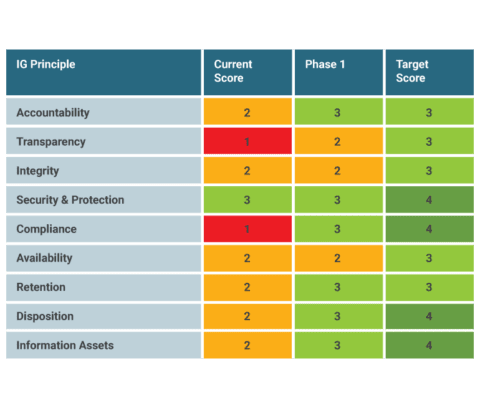 InfoGov Action Plan