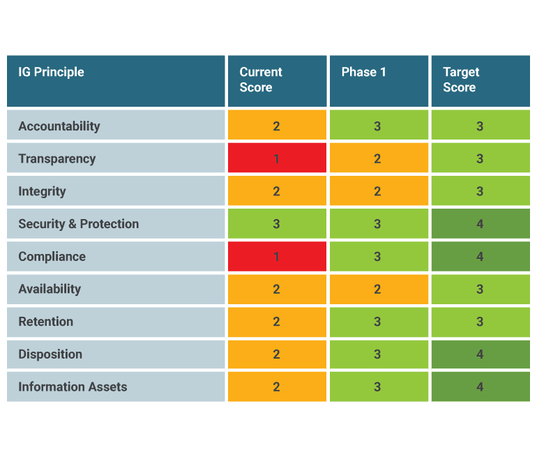 View - InfoGov Maturity Assessment