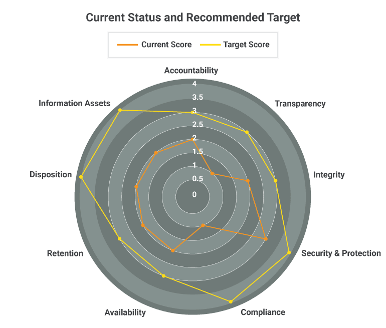 View - Information Governance Maturity Assessment